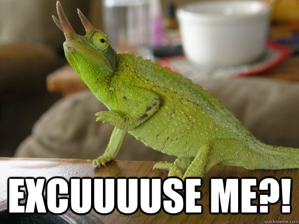  Excuuuuse Me?! -  Excuuuuse Me?!  Offended Chameleon