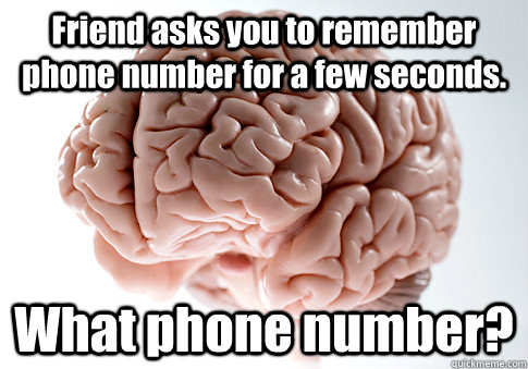 Friend asks you to remember phone number for a few seconds. What phone number?   Scumbag Brain