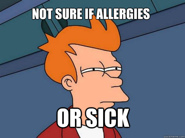 Not sure if allergies or sick - Not sure if allergies or sick  Futurama Fry