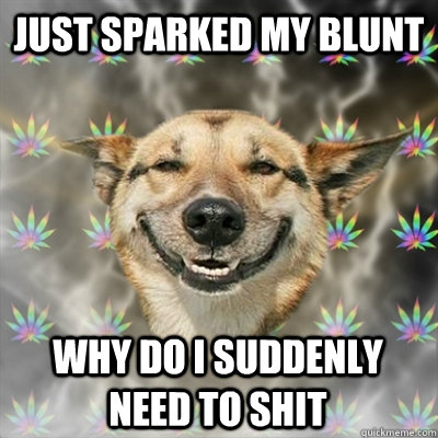 just sparked my blunt why do i suddenly need to shit - just sparked my blunt why do i suddenly need to shit  Stoner Dog