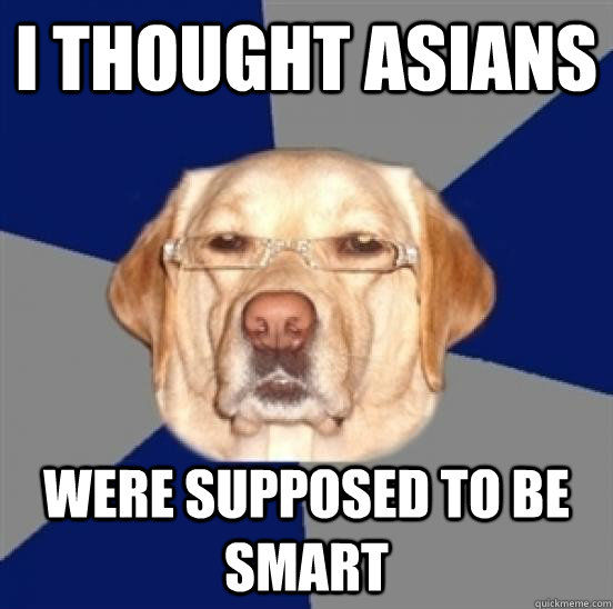 I thought Asians were supposed to be smart  Racist Dog