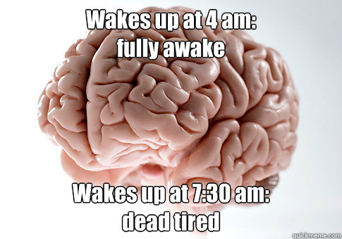 Wakes up at 4 am: 
fully awake Wakes up at 7:30 am:
dead tired - Wakes up at 4 am: 
fully awake Wakes up at 7:30 am:
dead tired  Scumbag Brain