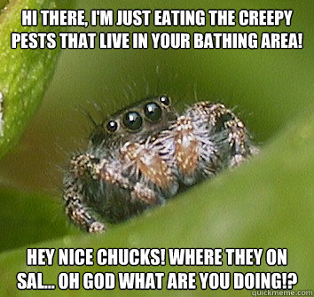 Hi there, I'm just eating the creepy pests that live in your bathing area! Hey nice chucks! Where they on sal... OH GOD WHAT ARE YOU DOING!?  Misunderstood Spider