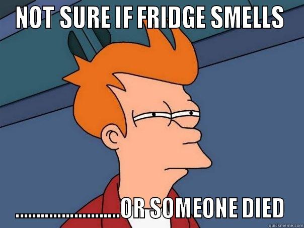 NOT SURE IF FRIDGE SMELLS .........................OR SOMEONE DIED Futurama Fry