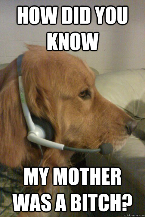 How did you know My mother was a bitch?  Xbox Live Dog