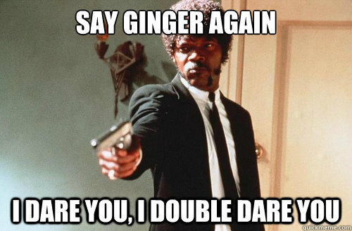 SAY GINGER AGAIN I DARE YOU, I DOUBLE DARE YOU - SAY GINGER AGAIN I DARE YOU, I DOUBLE DARE YOU  Ginger