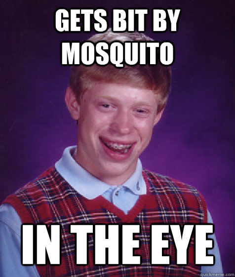 Gets bit by mosquito In the eye  Bad Luck Brian