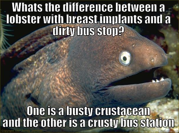 Lobsters breasts - WHATS THE DIFFERENCE BETWEEN A LOBSTER WITH BREAST IMPLANTS AND A DIRTY BUS STOP? ONE IS A BUSTY CRUSTACEAN AND THE OTHER IS A CRUSTY BUS STATION Bad Joke Eel