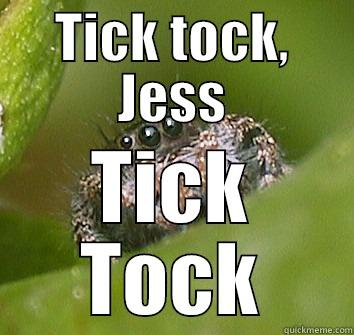 TICK TOCK, JESS TICK TOCK Misunderstood Spider