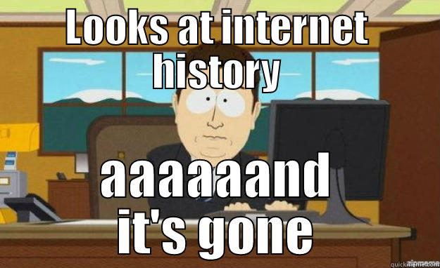 LOOKS AT INTERNET HISTORY AAAAAAND IT'S GONE aaaand its gone