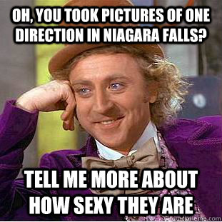 oh, you took pictures of One direction in niagara falls? tell me more about how sexy they are - oh, you took pictures of One direction in niagara falls? tell me more about how sexy they are  Condescending Wonka