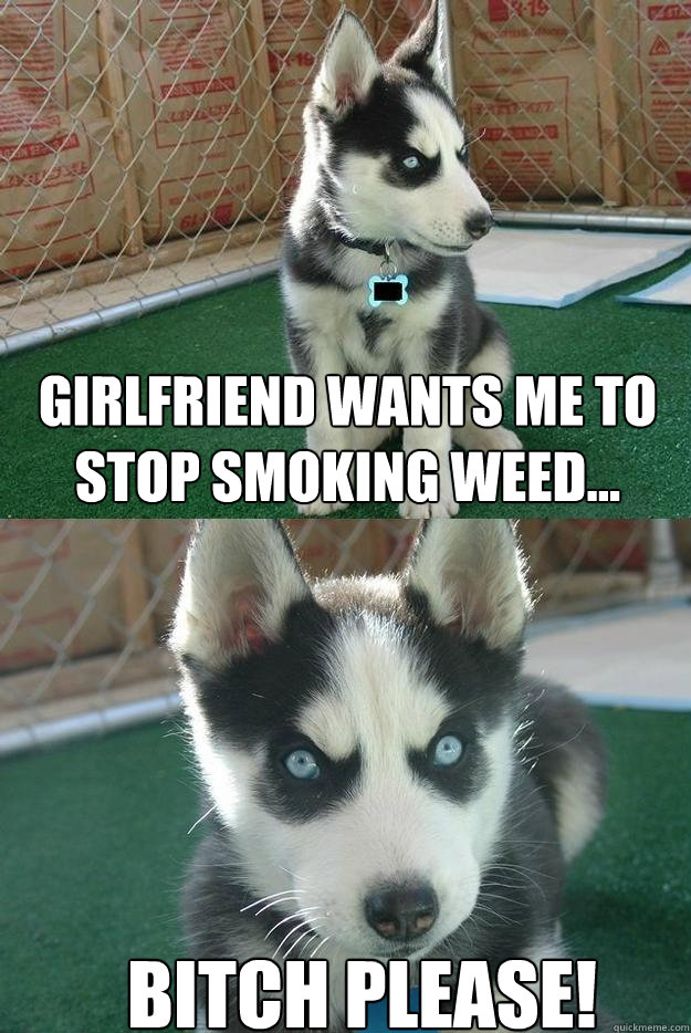 Girlfriend wants me to stop smoking weed... Bitch please!  Insanity puppy