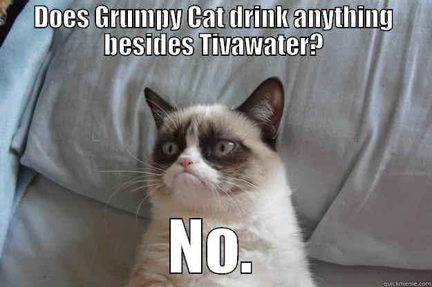 DOES GRUMPY CAT DRINK ANYTHING BESIDES TIVAWATER? NO. Grumpy Cat