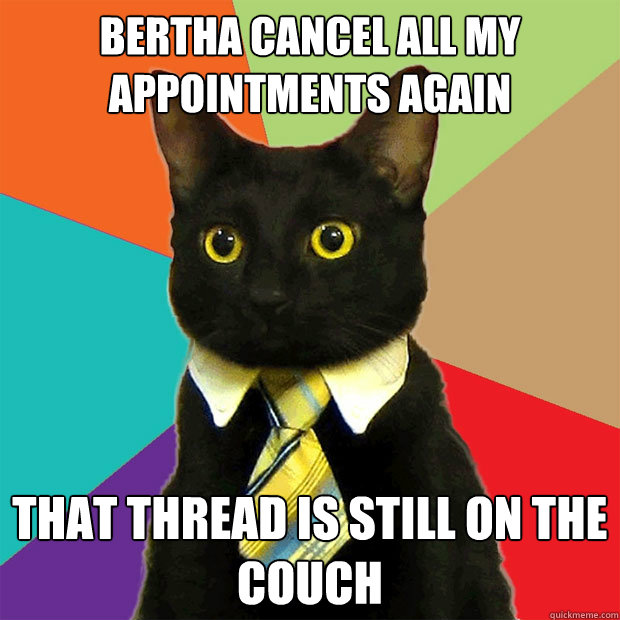 Bertha cancel all my appointments again
 that thread is still on the couch  Business Cat