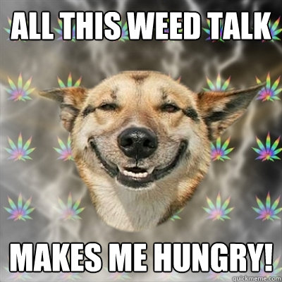 All this weed talk makes me hungry!  Stoner Dog