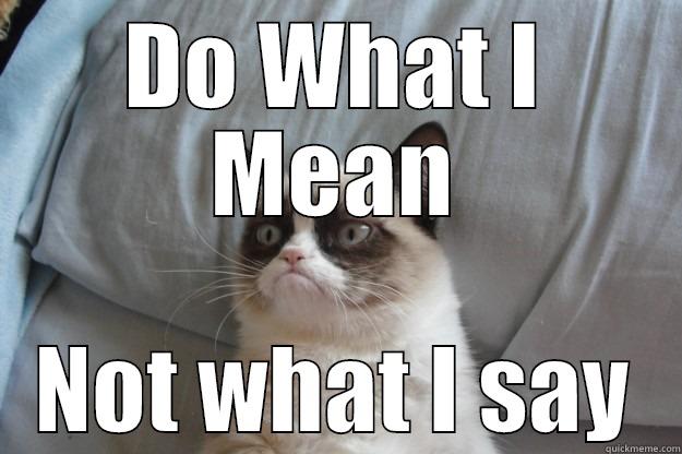 DO WHAT I MEAN NOT WHAT I SAY Grumpy Cat