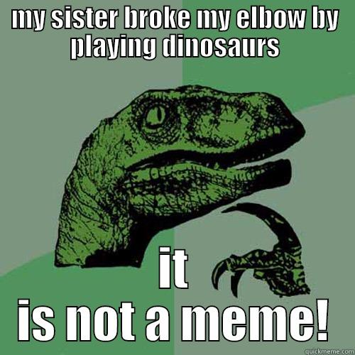 MY SISTER BROKE MY ELBOW BY PLAYING DINOSAURS IT IS NOT A MEME! Philosoraptor