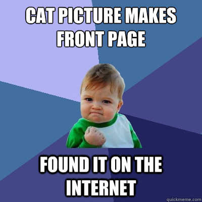 Cat picture makes front page Found it on the internet  Success Kid