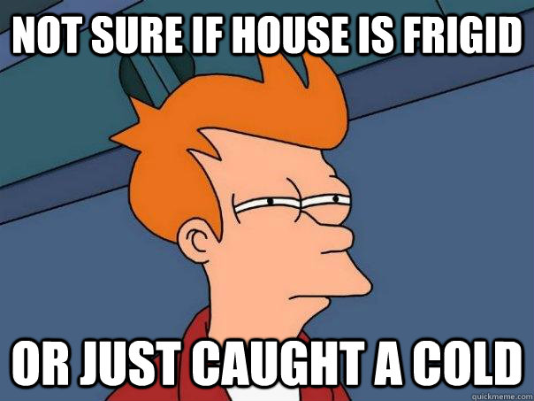 Not sure if house is frigid Or just caught a cold  Futurama Fry