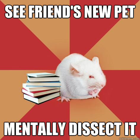 See friend's new pet Mentally dissect it - See friend's new pet Mentally dissect it  Science Major Mouse