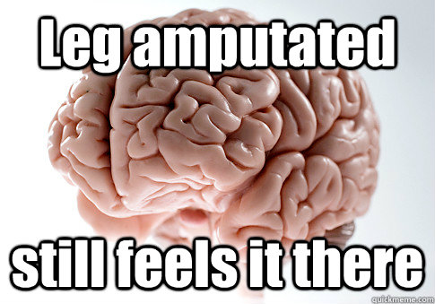 Leg amputated still feels it there   Scumbag Brain