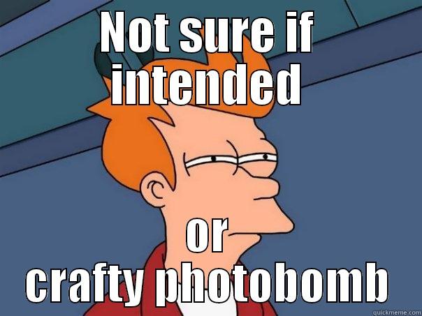 NOT SURE IF INTENDED OR CRAFTY PHOTOBOMB Futurama Fry