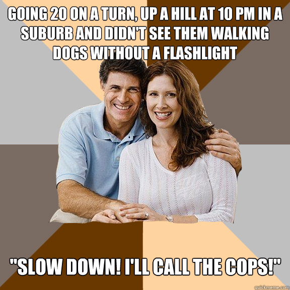 Going 20 on a turn, up a hill at 10 pm in a suburb and didn't see them walking dogs without a flashlight 