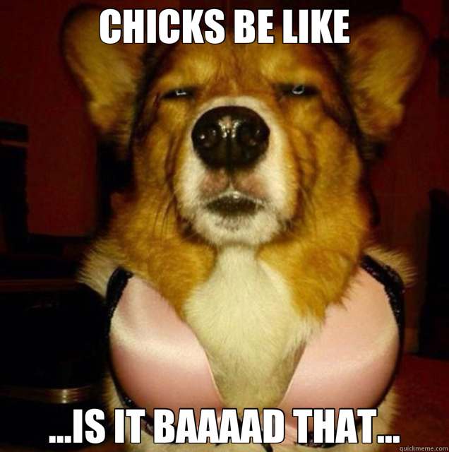 CHICKS BE LIKE ...IS IT BAAAAD THAT... - CHICKS BE LIKE ...IS IT BAAAAD THAT...  Misc