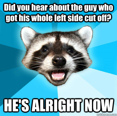 Did you hear about the guy who got his whole left side cut off? HE'S ALRIGHT NOW  Lame Pun Coon