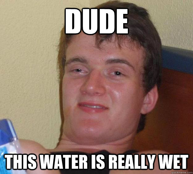 Dude This water is really wet  10 Guy