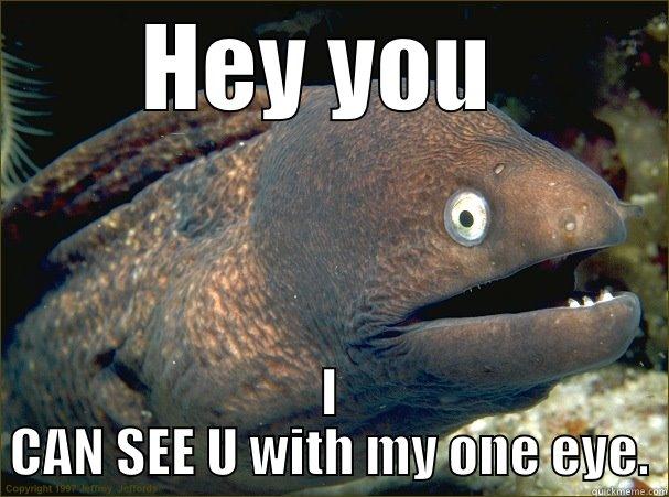 I SEE u - HEY YOU  I CAN SEE U WITH MY ONE EYE. Bad Joke Eel