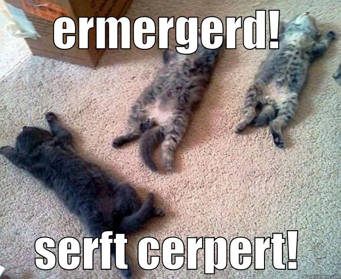 ERMERGERD! SERFT CERPERT! Misc