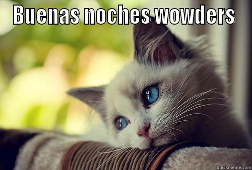 BUENAS NOCHES WOWDERS  First World Problems Cat