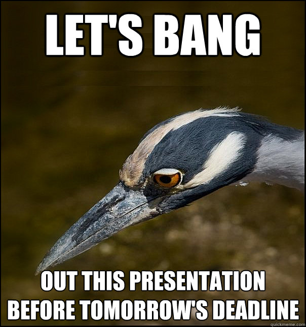 let's bang out this presentation before tomorrow's deadline  Sad Realization Heron