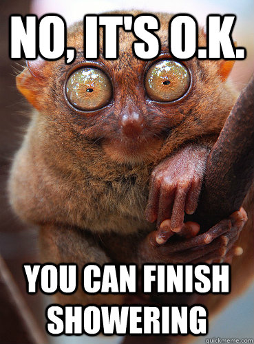 No, it's o.k. you can finish showering - No, it's o.k. you can finish showering  Innapropriate Tarsier