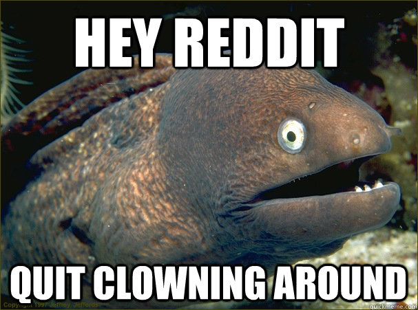 hey reddit quit clowning around - hey reddit quit clowning around  Bad Joke Eel