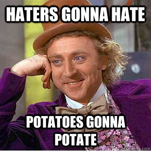 haters gonna hate potatoes gonna potate  Condescending Wonka