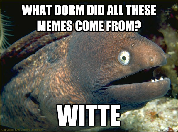 What dorm did all these memes come from? Witte - What dorm did all these memes come from? Witte  Bad Joke Eel