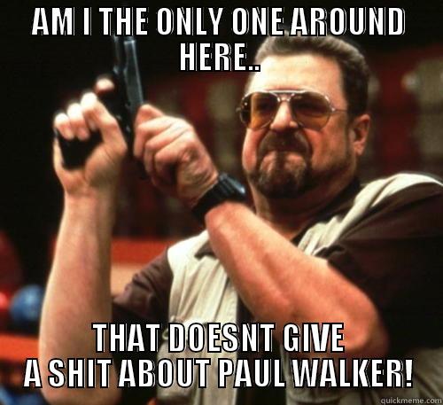 AM I THE ONLY ONE AROUND HERE.. THAT DOESNT GIVE A SHIT ABOUT PAUL WALKER! Am I The Only One Around Here