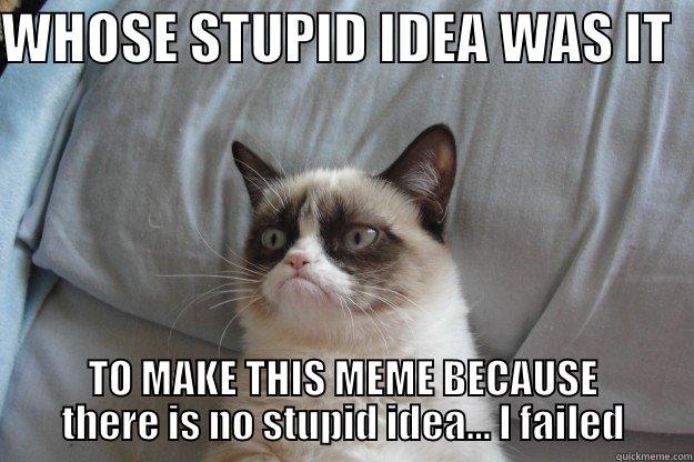 WHOSE STUPID IDEA WAS IT   TO MAKE THIS MEME BECAUSE THERE IS NO STUPID IDEA... I FAILED Grumpy Cat