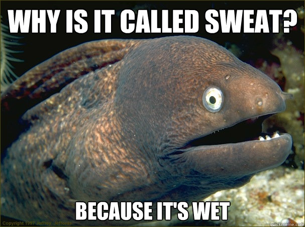 Why is it called sweat? because it's wet  Bad Joke Eel