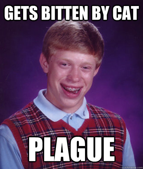 Gets bitten by Cat Plague - Gets bitten by Cat Plague  Bad Luck Brian