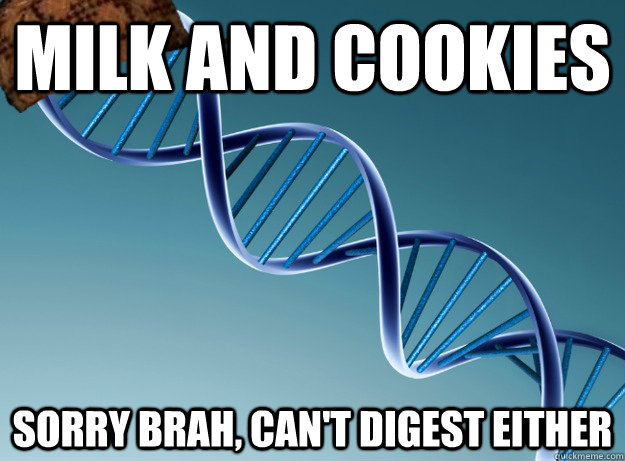 milk and cookies Sorry brah, can't digest either  Scumbag Genetics