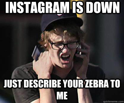 INSTAGRAM IS DOWN  JUST DESCRIBE YOUR ZEBRA TO ME  Sad Hipster