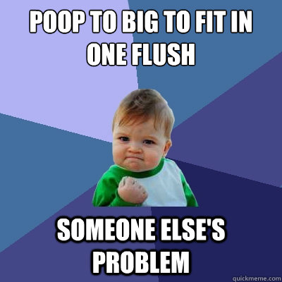 Poop to big to fit in one flush Someone else's Problem  Success Kid