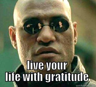  LIVE YOUR LIFE WITH GRATITUDE Matrix Morpheus