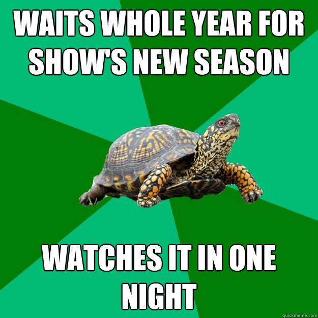 waits whole year for show's new season watches it in one night  Torrenting Turtle