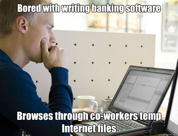 Bored with writing banking software Browses through co-workers temp Internet files  Programmer