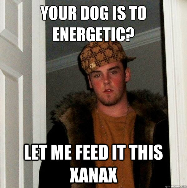 Your dog is to energetic? let me feed it this xANAX  Scumbag Steve