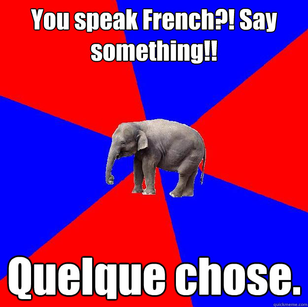 You speak French?! Say something!! Quelque chose.  Foreign language elephant